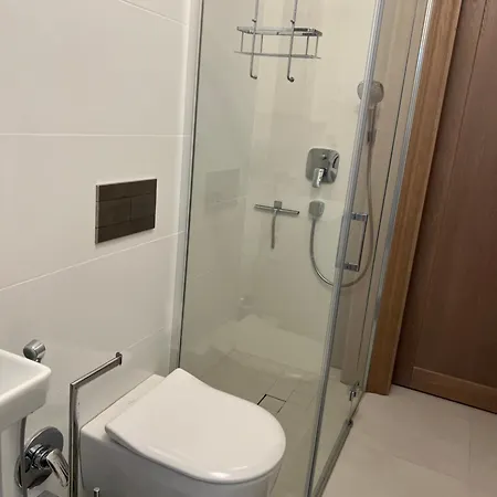 Apartment Nemuno Banga Druskininkai