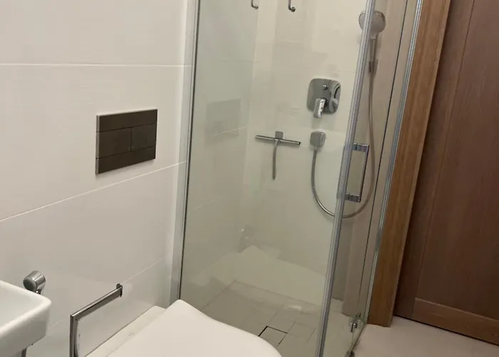 Apartment Nemuno Banga Druskininkai