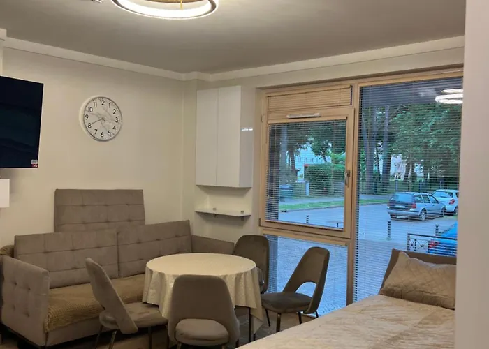 Apartment Nemuno Banga Druskininkai